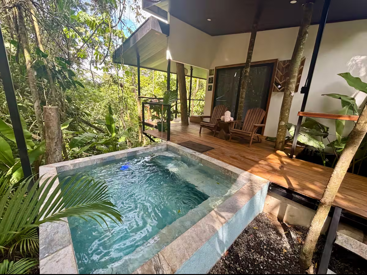 Tree House Pure Oxygen with plunge pool surrounded by tropical rainforest